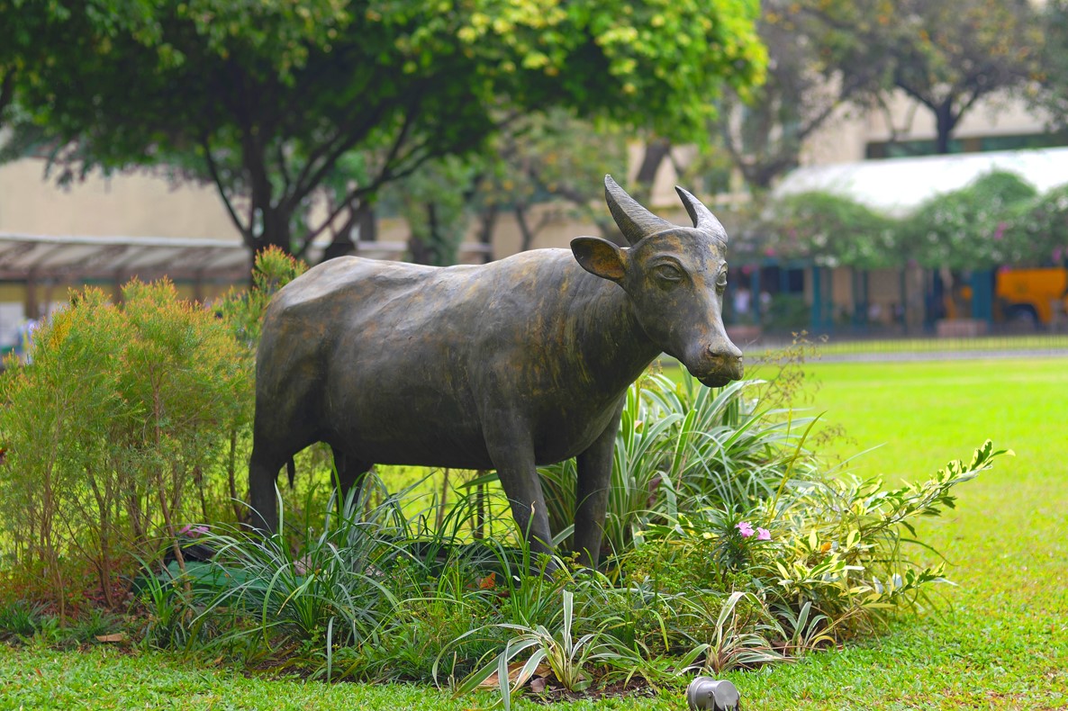 Tamaraw Scuplture